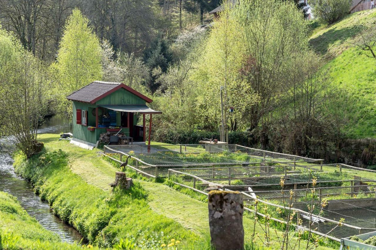 Hotel Roessle Berneck Altensteig Εξωτερικό φωτογραφία